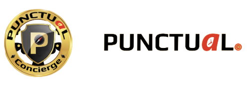 punctualexpress Logo